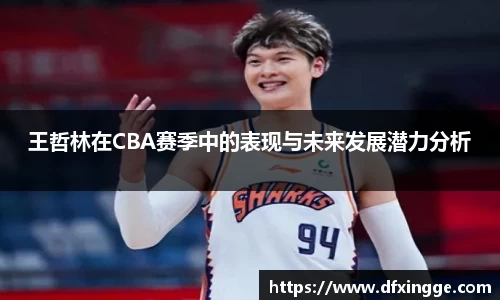 王哲林在CBA赛季中的表现与未来发展潜力分析